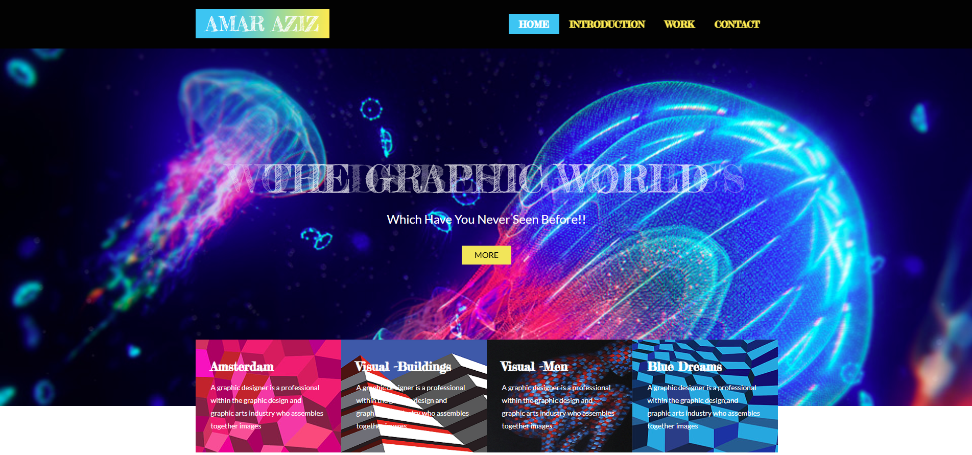 portfolio
